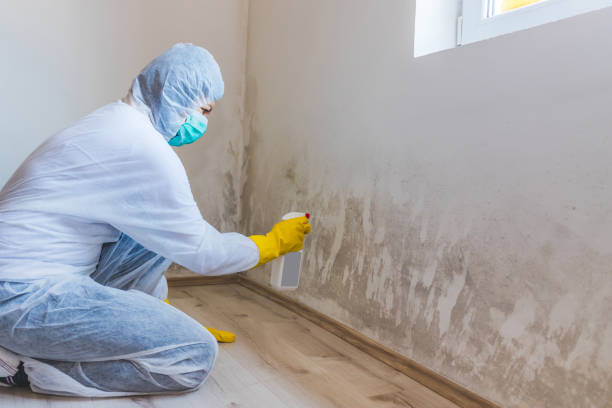 Licensed Crawl Space Mold Removal service in McClure, PA - WQB Mold Removal