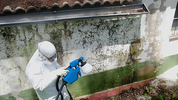 Top rated local Crawl Space Mold Removal specialists in McClure, PA